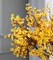 20 Pcs Artificial Outdoor Mums Flowers UV Resistant Fake Fall Plants Orange Faux Shrubs for Porch, Garden, Patio, Window Box, Home Outdoor and Indoor Decor